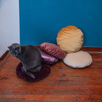 Load image into Gallery viewer, Velvet Meditation Cushion - Bright Copper Orange
